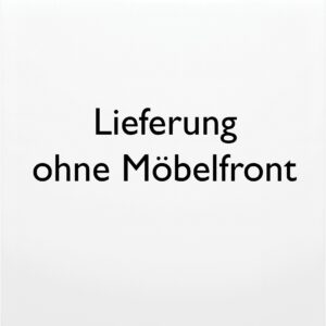 BOSCH teilintegrierbarer Geschirrspüler Serie 2 SMI2HVS02E